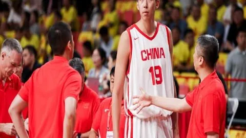 黄蜂队放弃拉梅洛鲍尔真相揭晓：揭示核心风险与隐忧